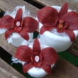 orchideje  bez drtk